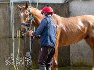 BP200326-53 - It's Hard To Know